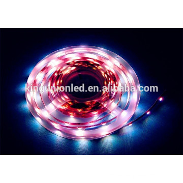 Kingunion Iluminación decorativa RGB Magic SMD 3528 LED Flexible Strip Light Series CE y Certificado RoHS